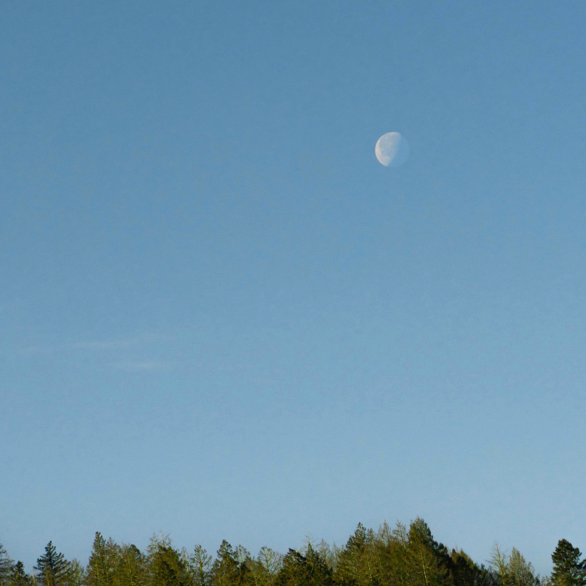 Album cover of MOON