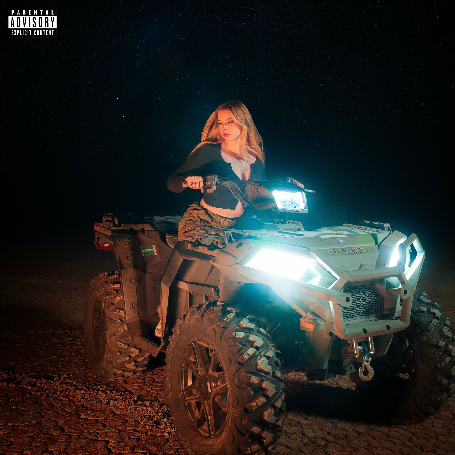 Album cover of Dog In Me