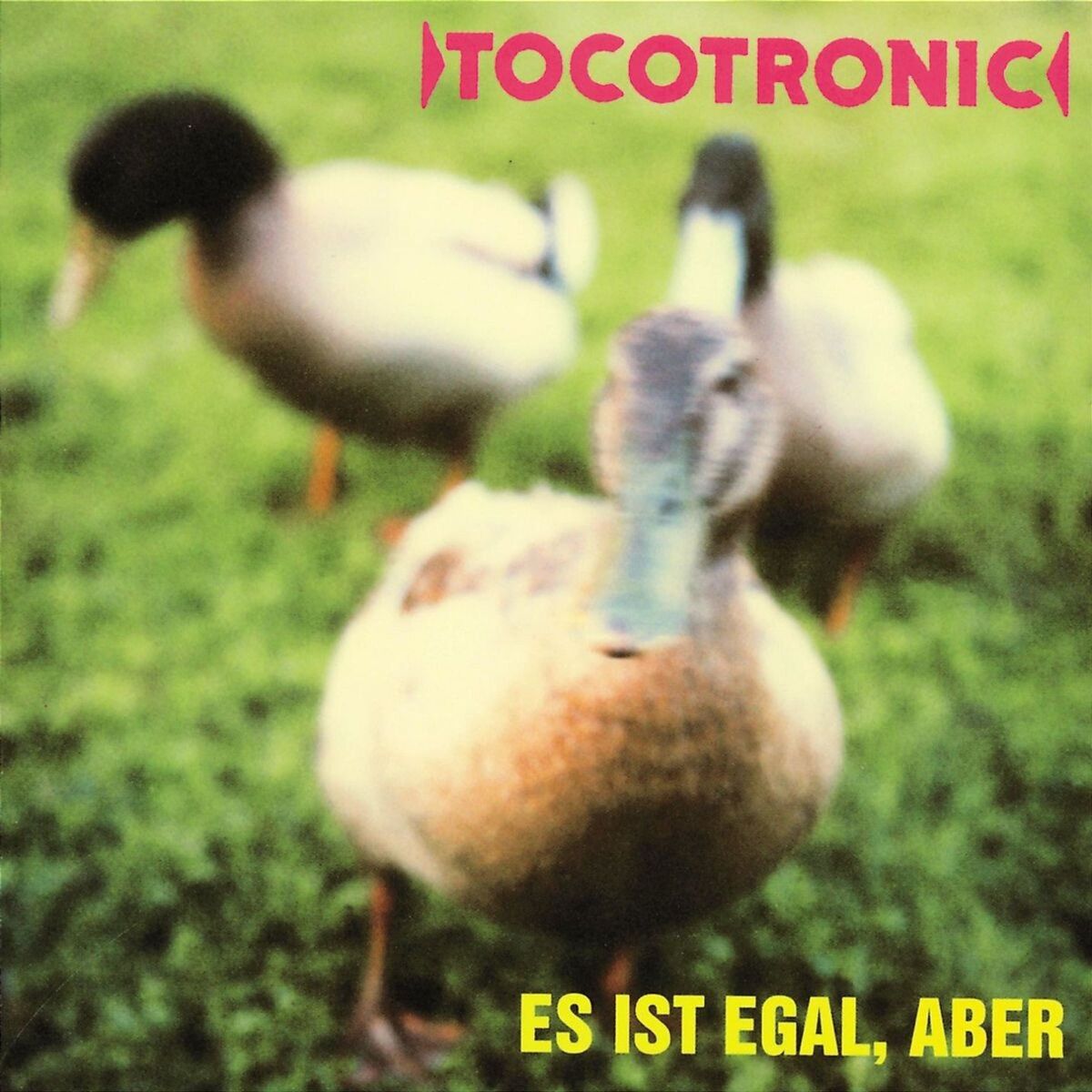 Album cover of Es ist egal, aber