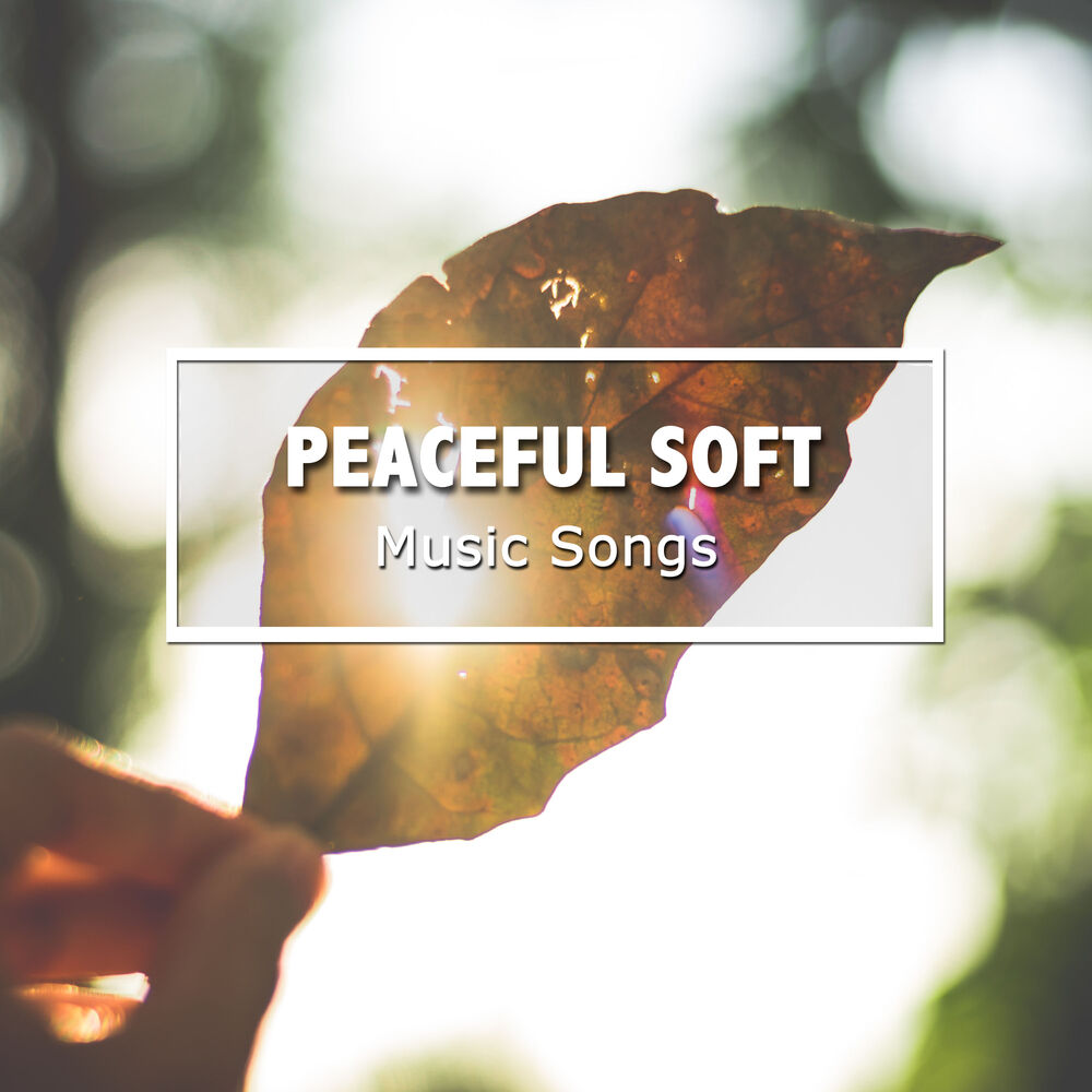 Picture of #18 Peaceful Soft Music Songs for Deep Meditation