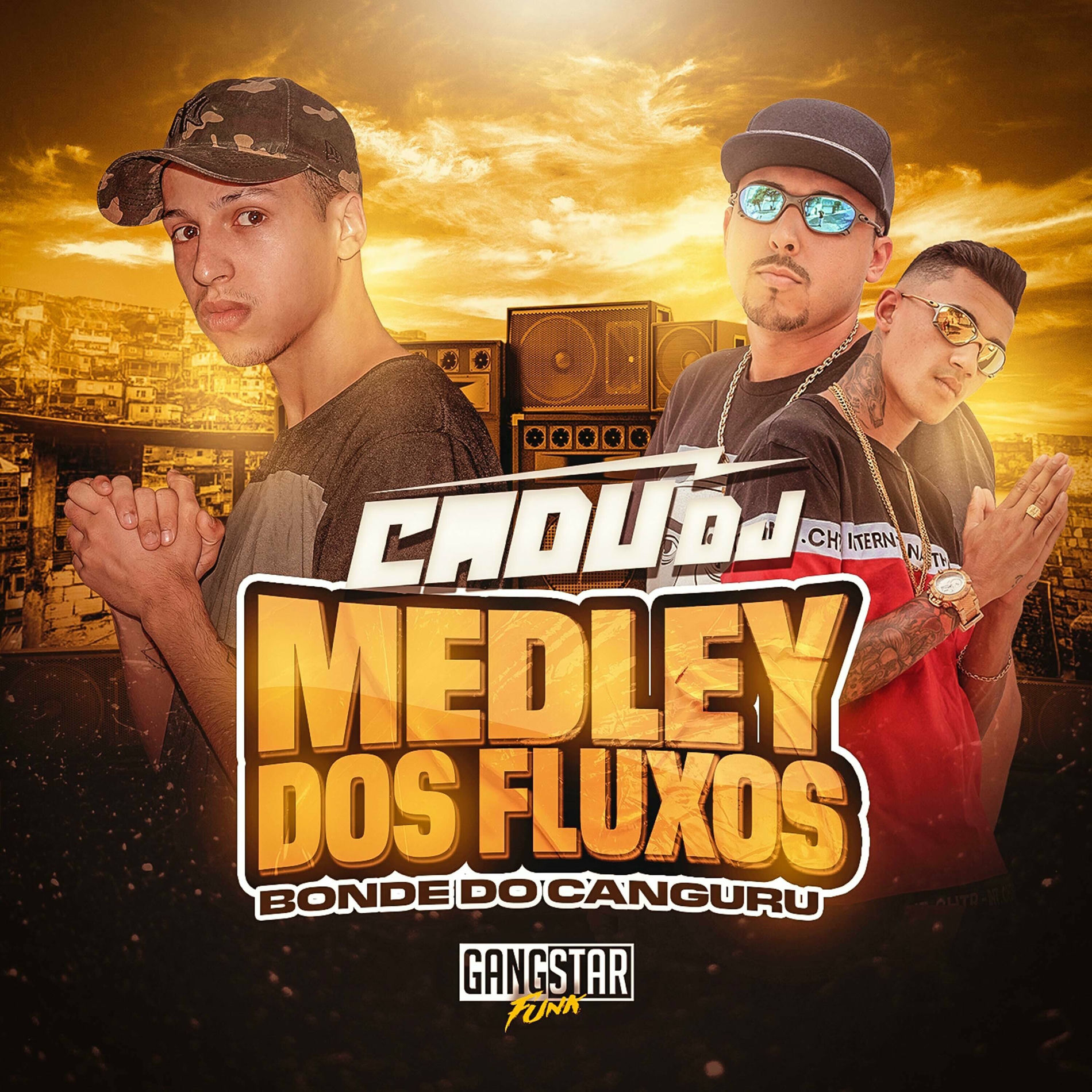 Album cover of Medley dos Fluxos