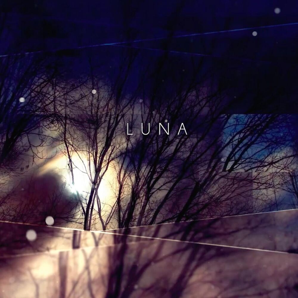 Picture of Luna