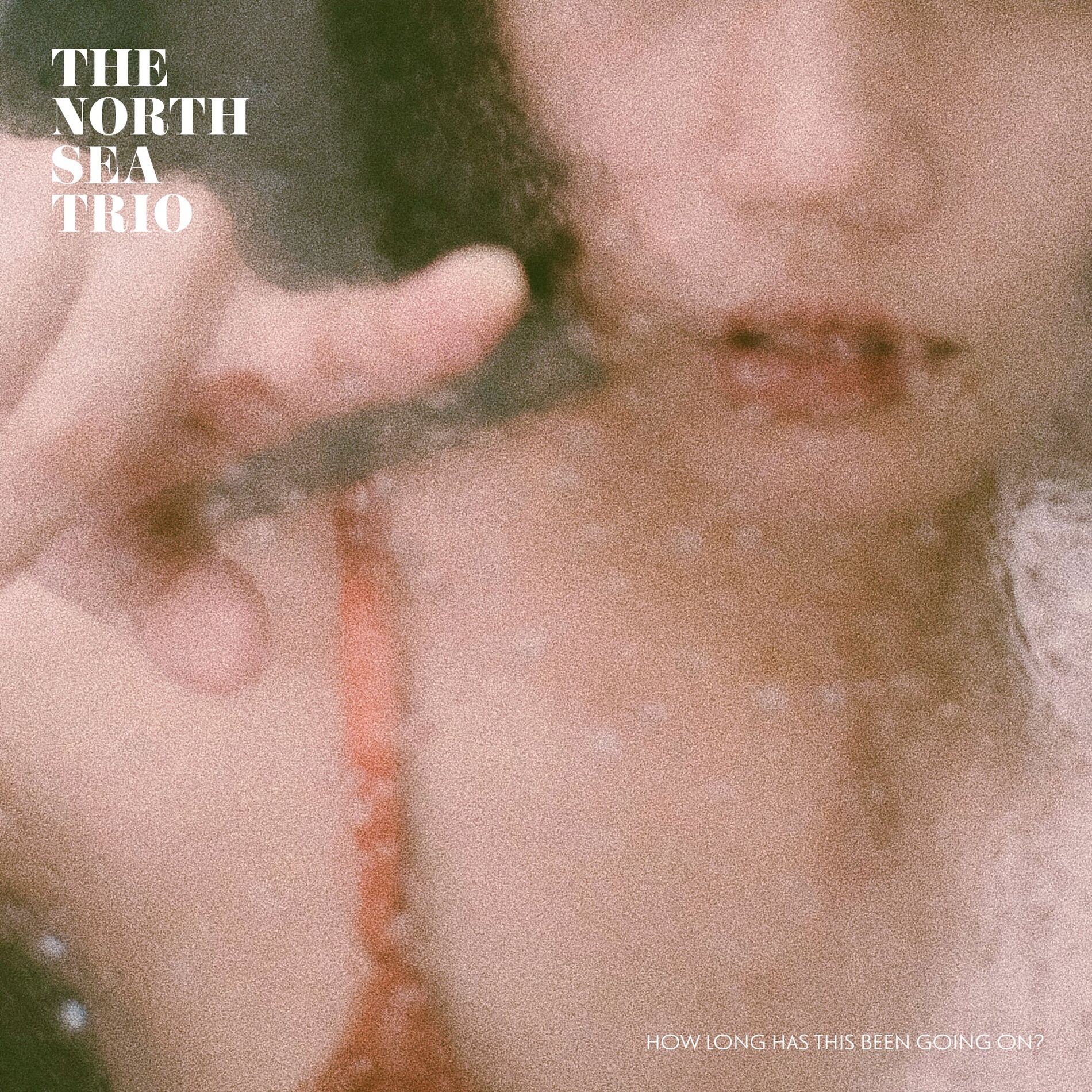 Album cover of How Long Has This Been Going On?