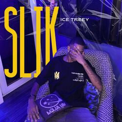 Cover of Slik