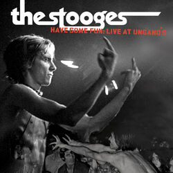 Cover of Have Some Fun: Live at Ungano's
