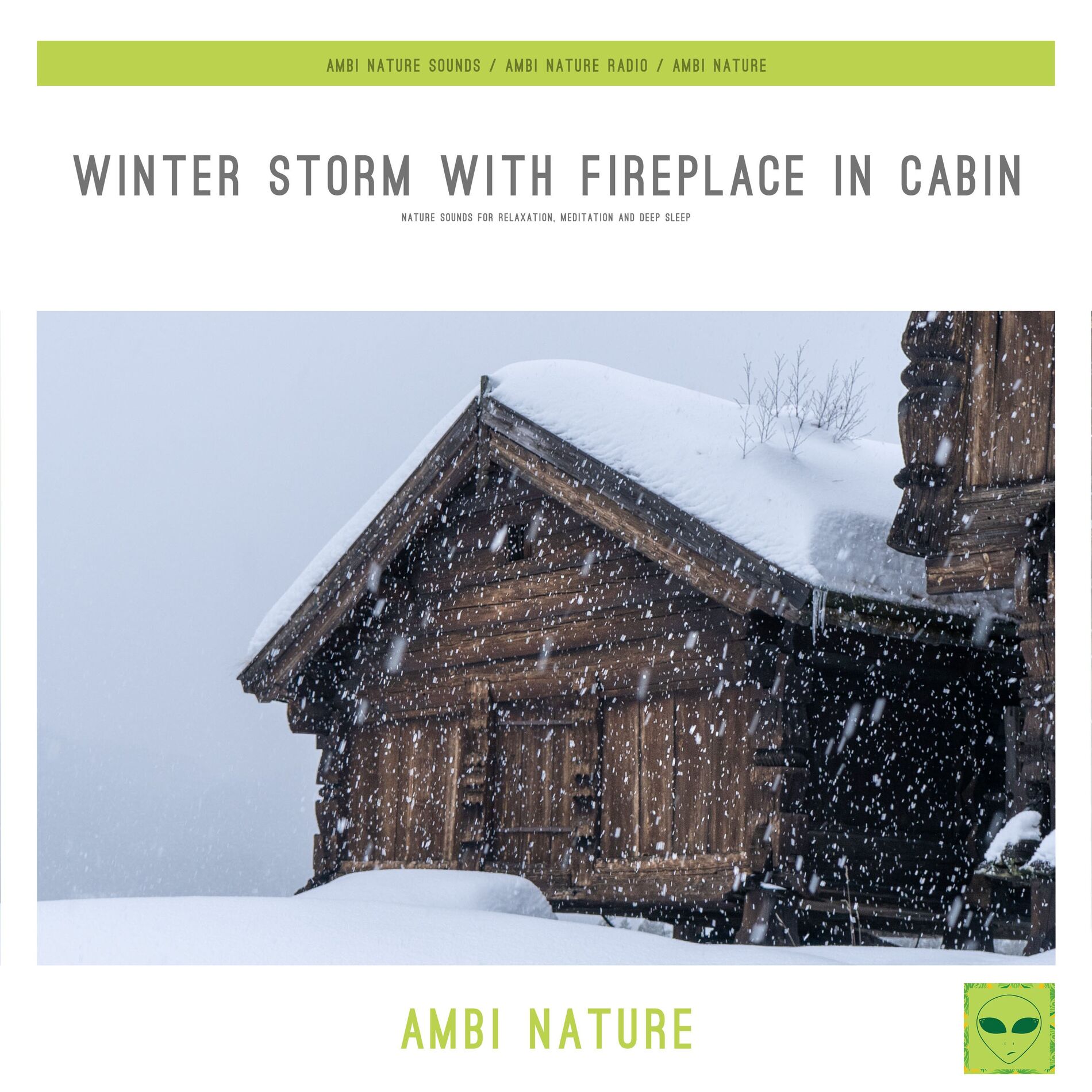 Album cover of Winter Storm with Fireplace in Cabin (Nature Sounds for Relaxation, Meditation and Deep Sleep)