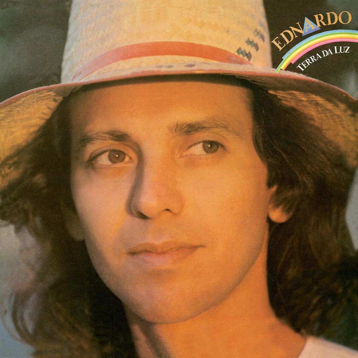 Album cover of Terra Da Luz