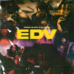 Cover of EDV
