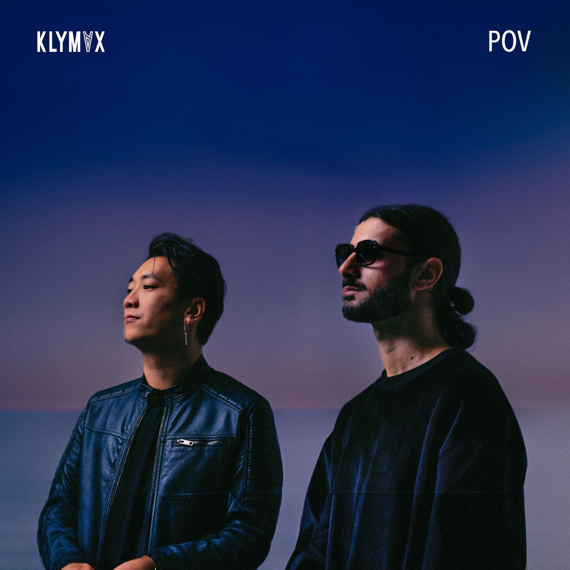 Album cover of POV