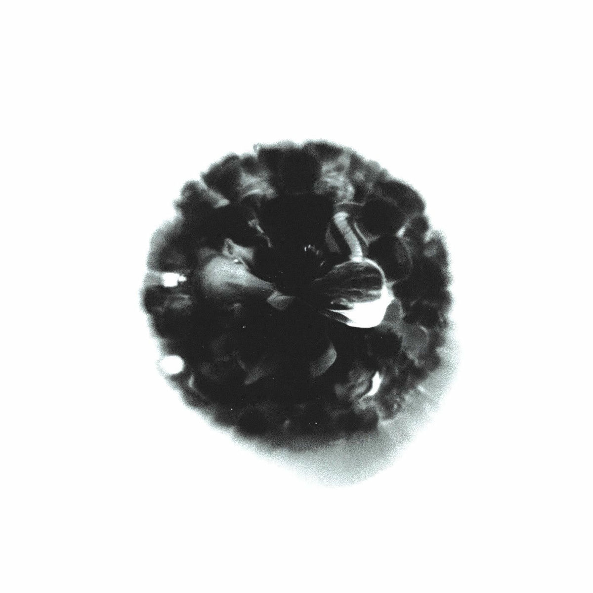 Album cover of Pressure