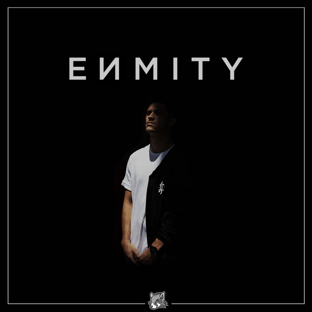 Picture of Enmity
