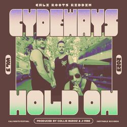 Cover of Hold On