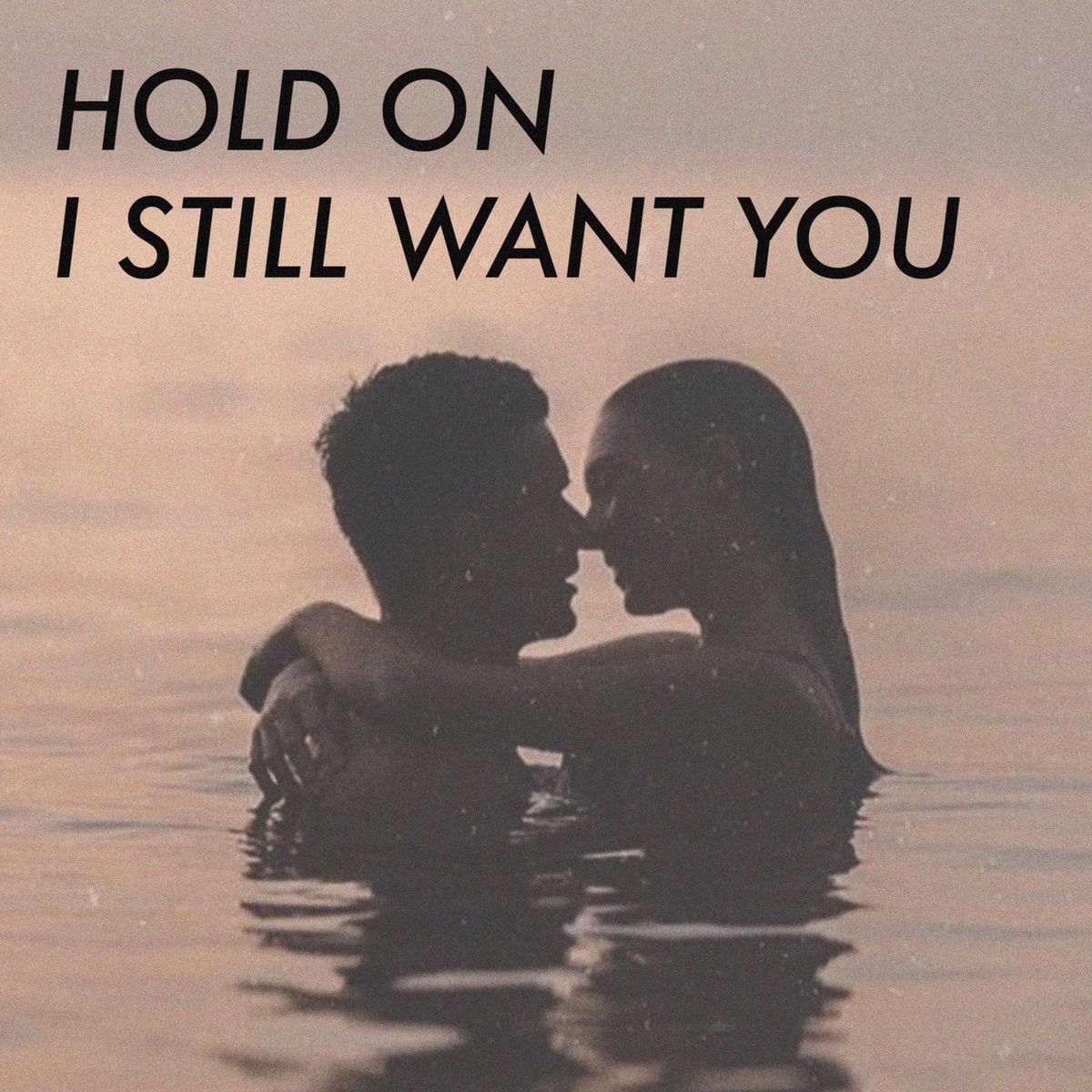 Album cover of hold on I still want you
