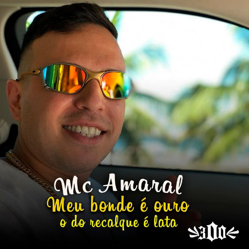 Meu Bonde É Ouro, o do Recalque É Lata