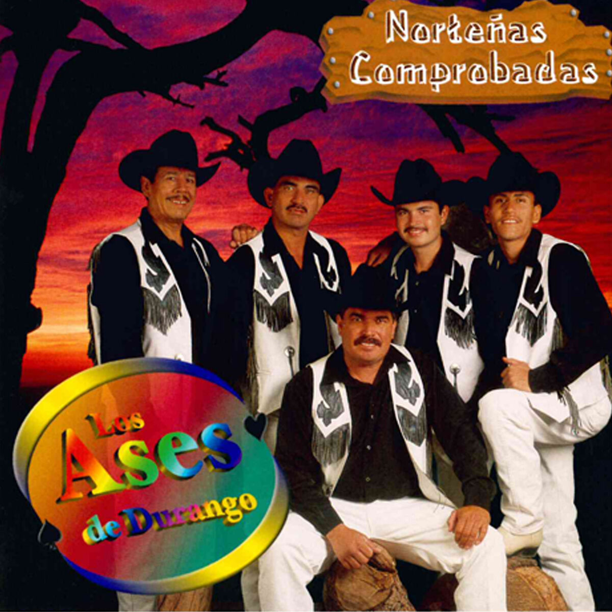 Album cover of Nortenas Comprobadas