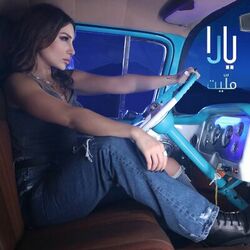 Cover of Mallayt