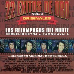 Cover of 22 Éxitos de Oro, vol. 3