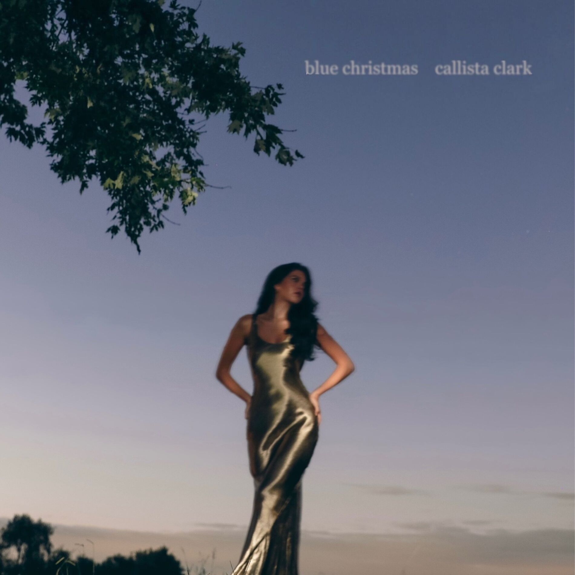Album cover of Blue Christmas