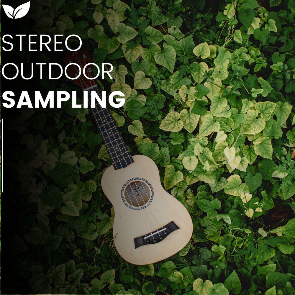 Picture of 360 Outdoor Audio Capturing the Earths Pulse