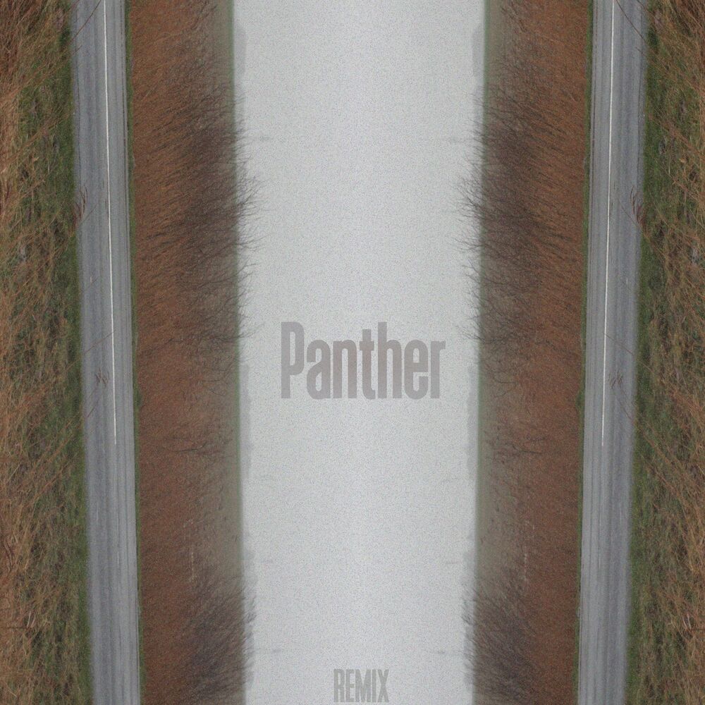 Picture of Panther (Remix)
