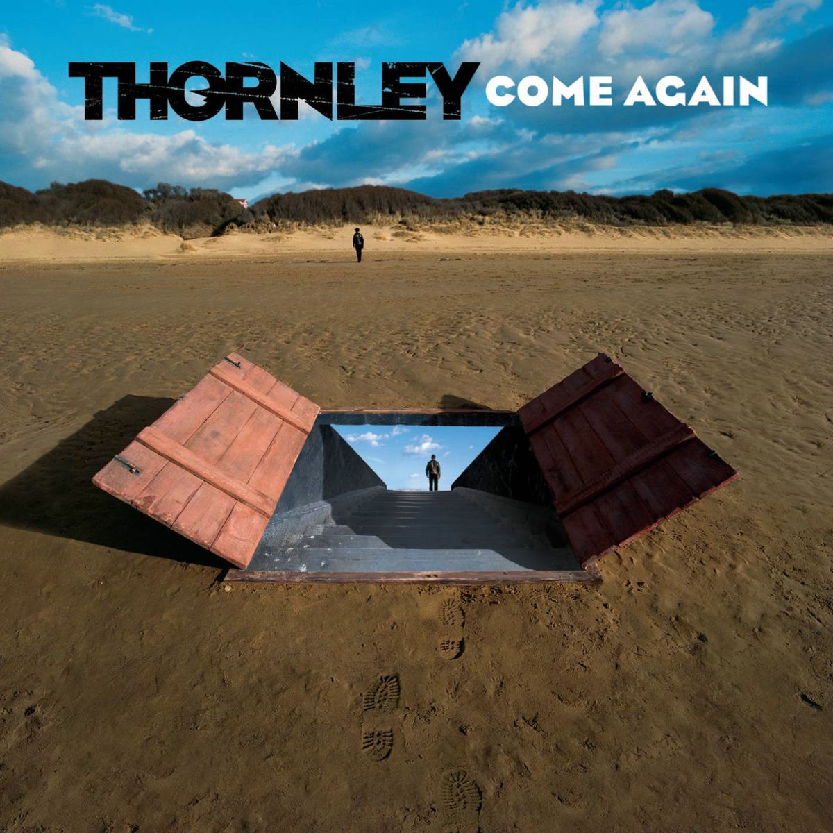Album cover of Falling to Pieces