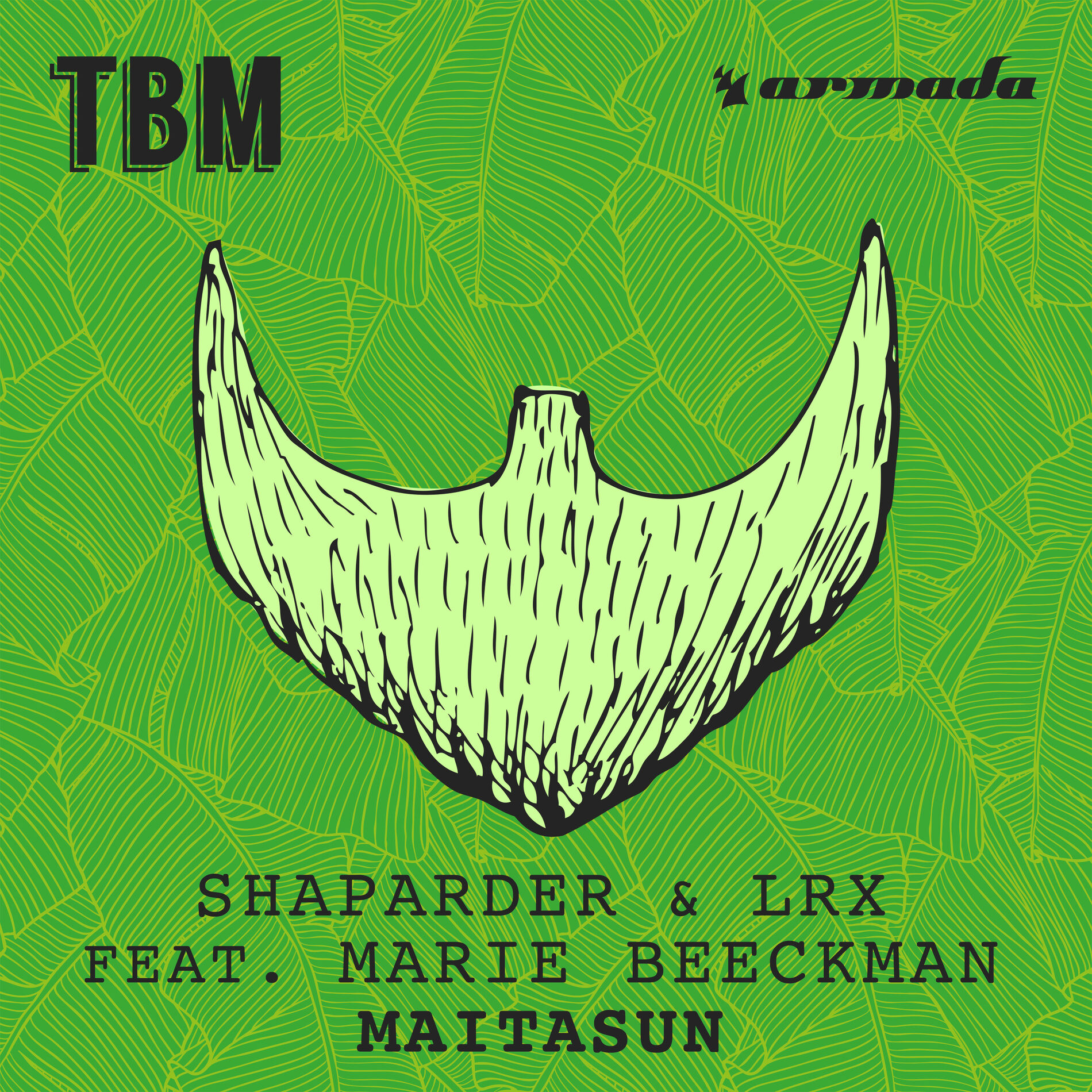 Album cover of Maitasun
