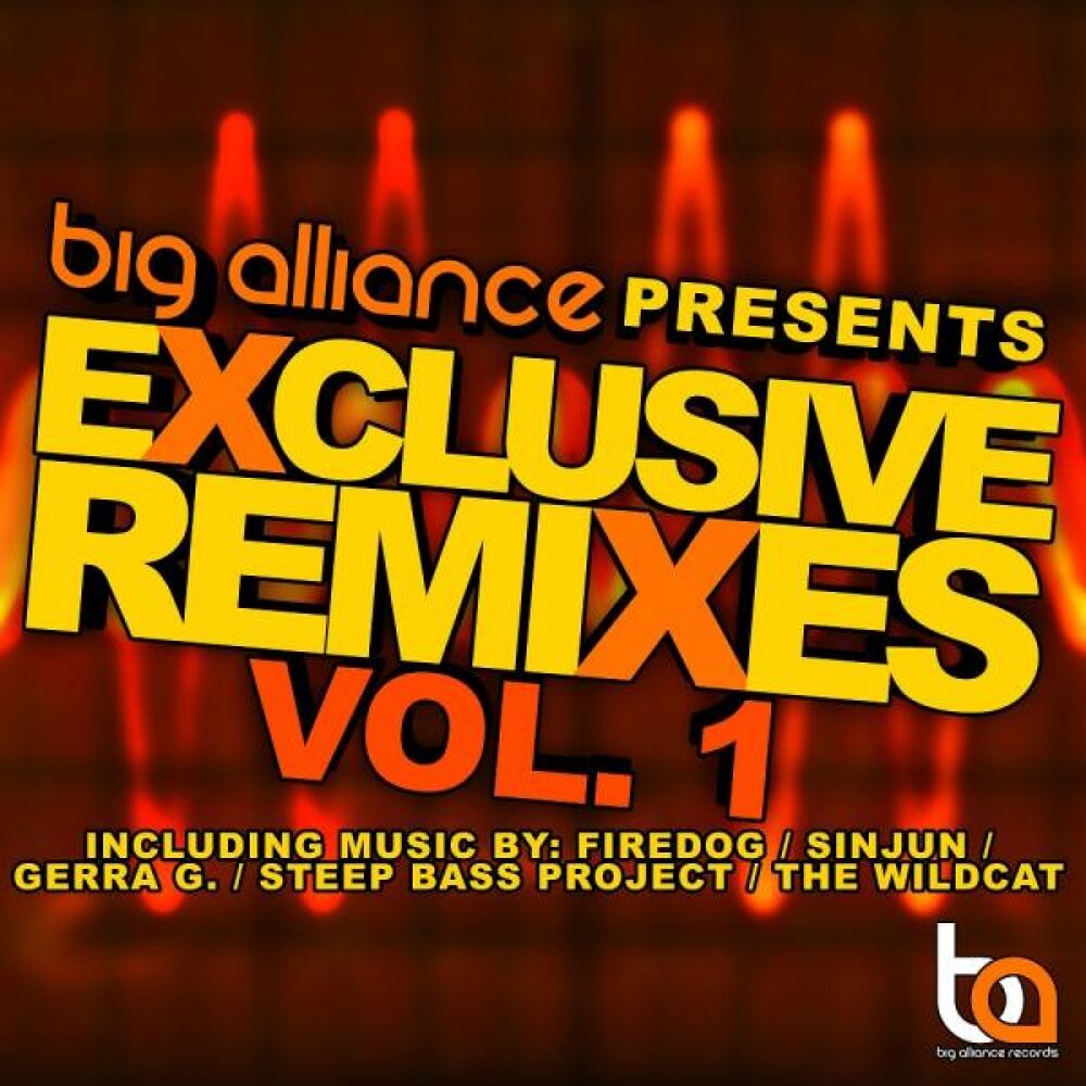 Picture of Big Alliance Presents: Exclusive Remixes Vol. 1