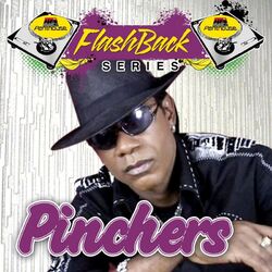 Cover of Penthouse Flashback Series: Pinchers