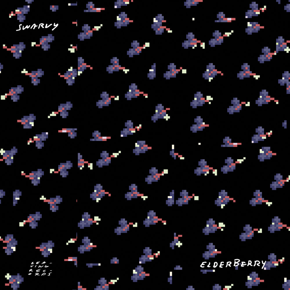 Picture of Elderberry