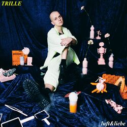 Cover of Luft & Liebe
