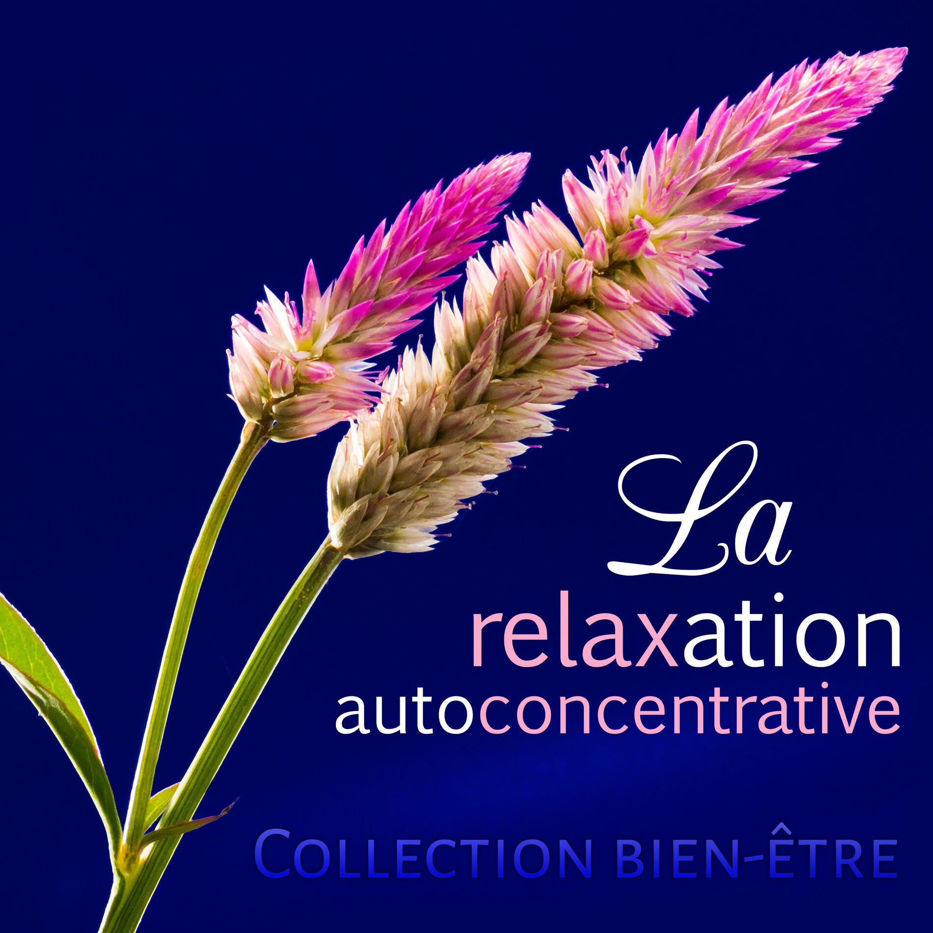Album cover of Confiance en soi