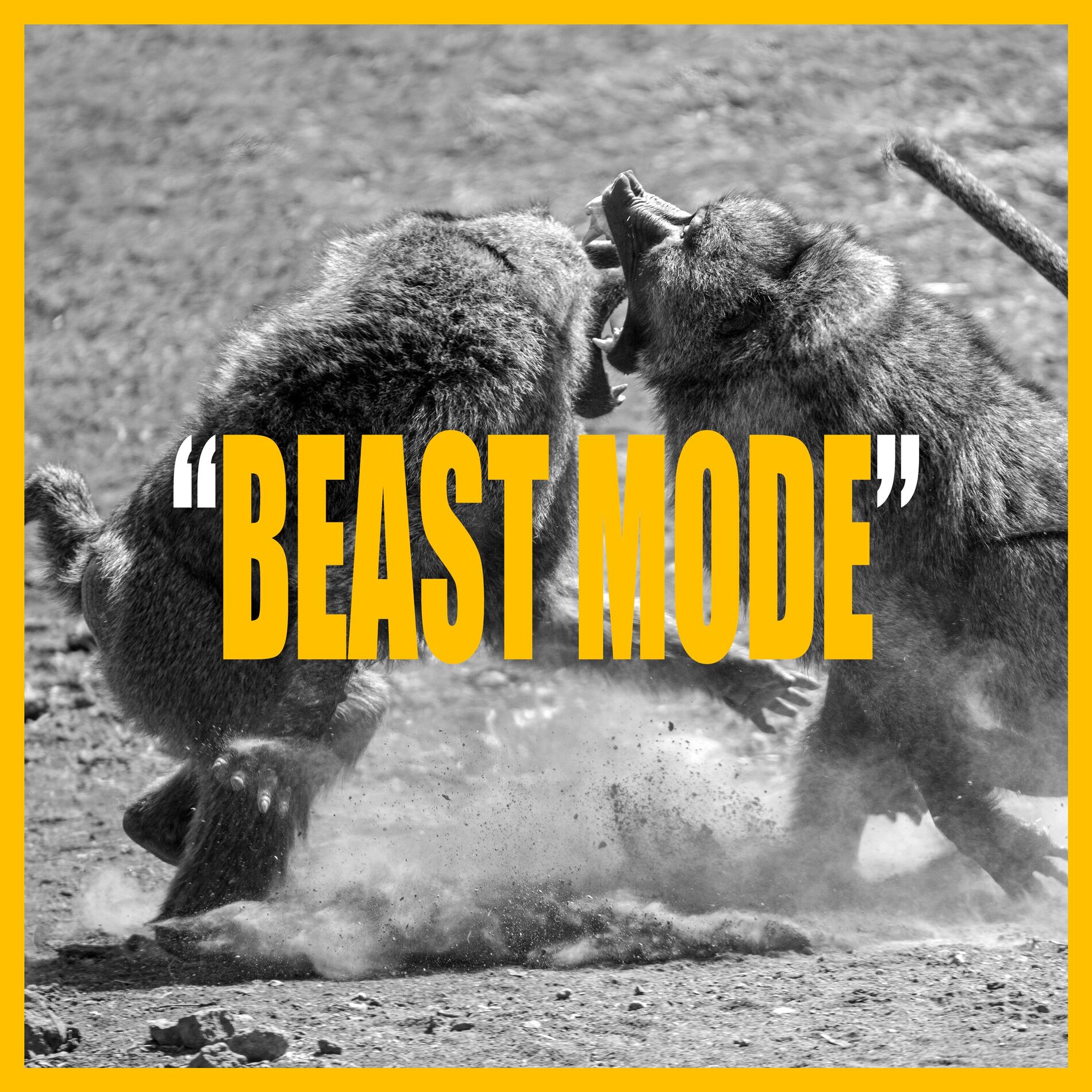 Album cover of BEAST MODE