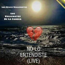 Cover of No Lo Entendiste (Live)