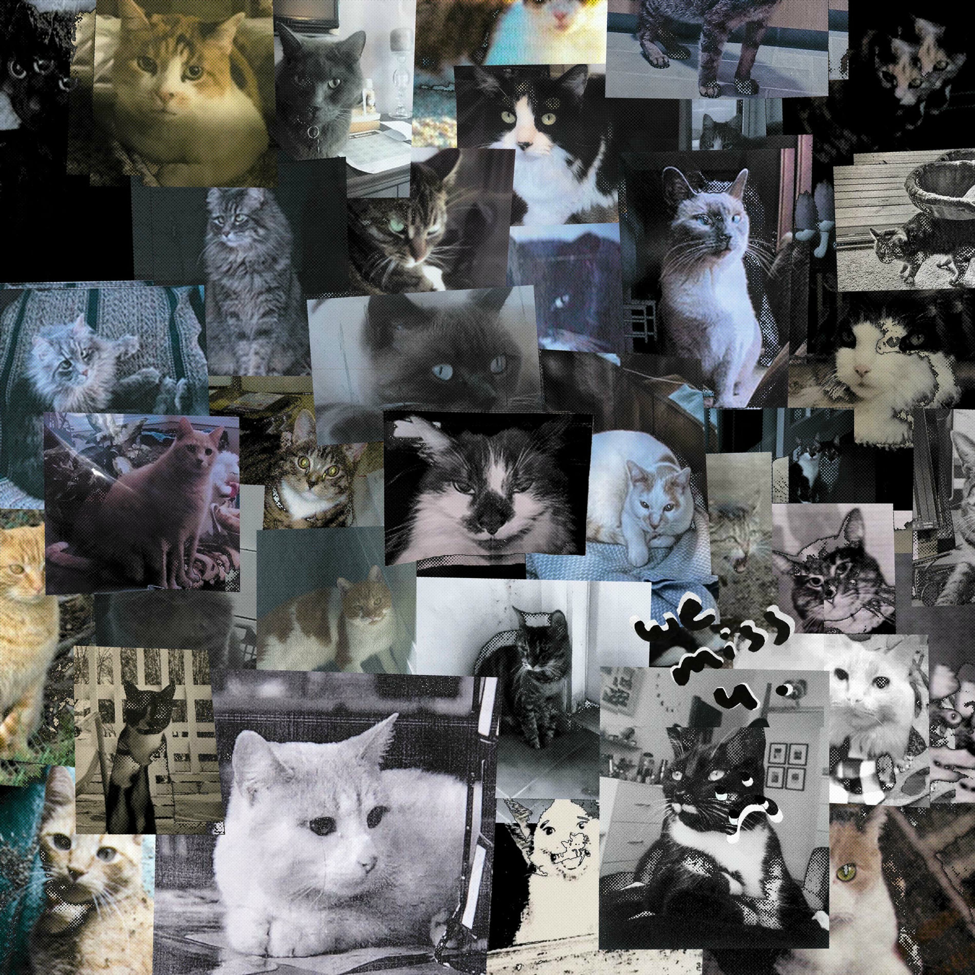 Album cover of lost + found