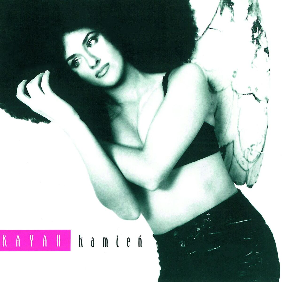 Album cover of Kamien