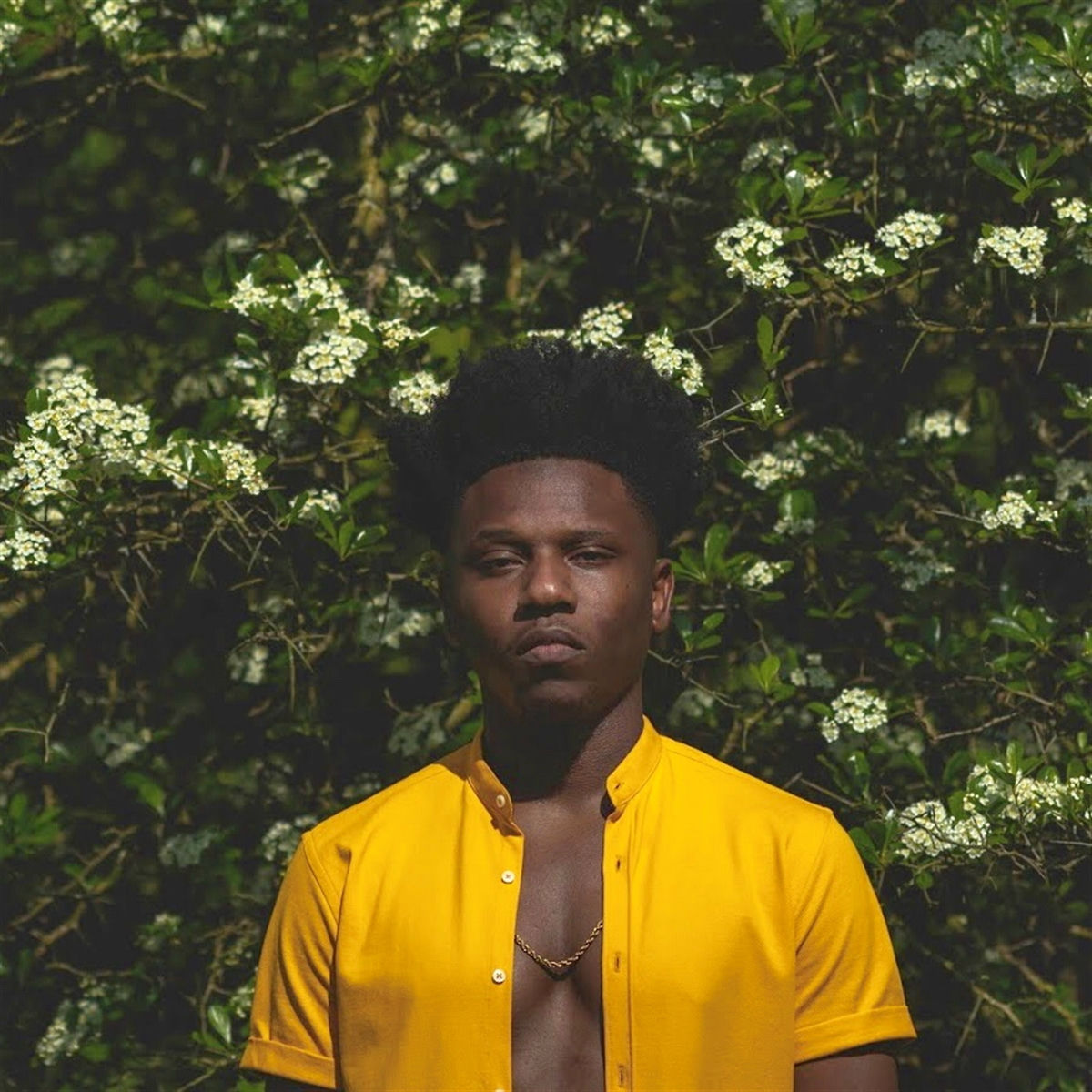 Album cover of Love & Nappyness