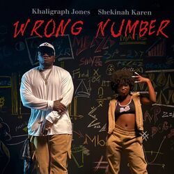Cover of Wrong Number