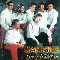 Cover of Llamarada de Amor