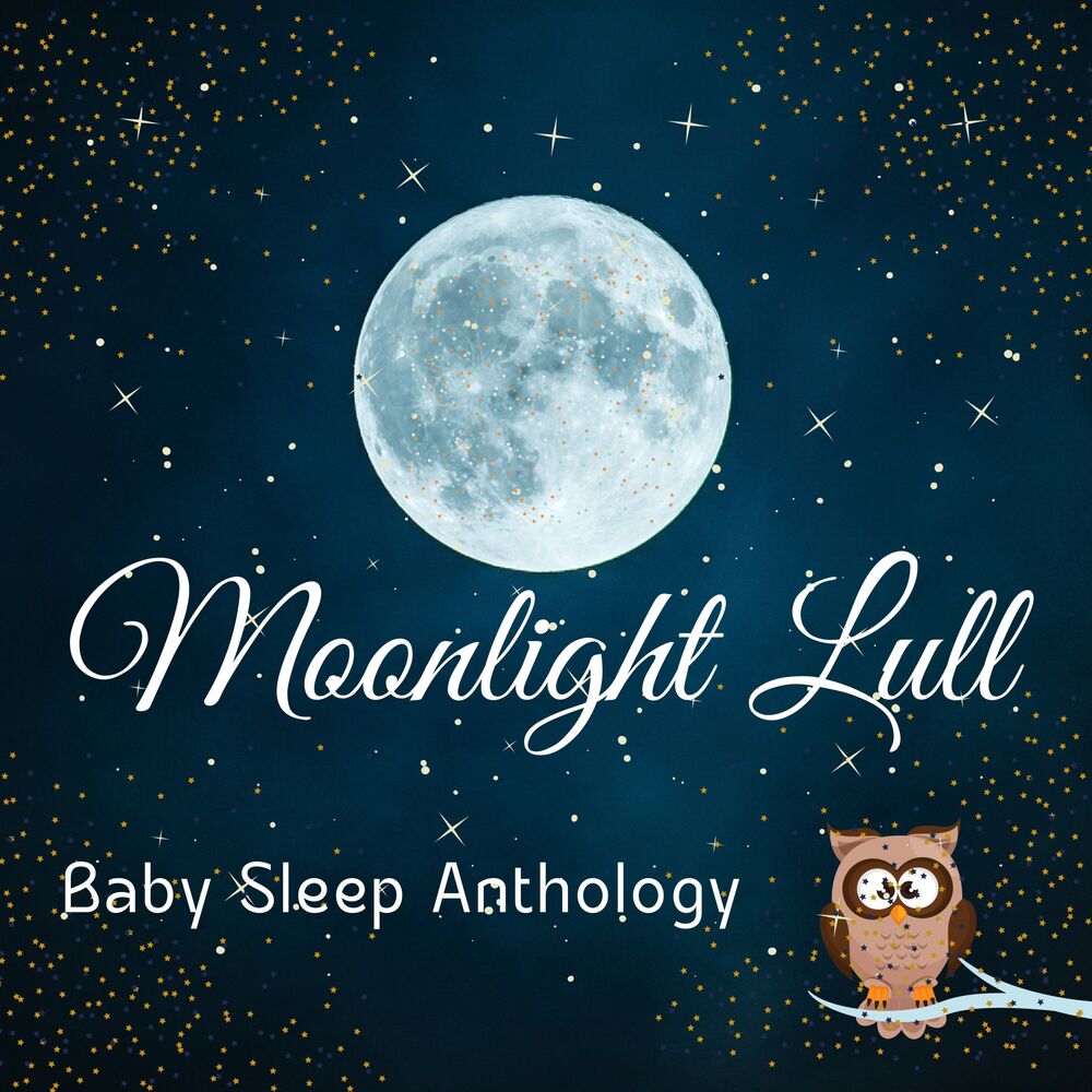 Picture of Moonlight Lull: Baby Sleep Anthology