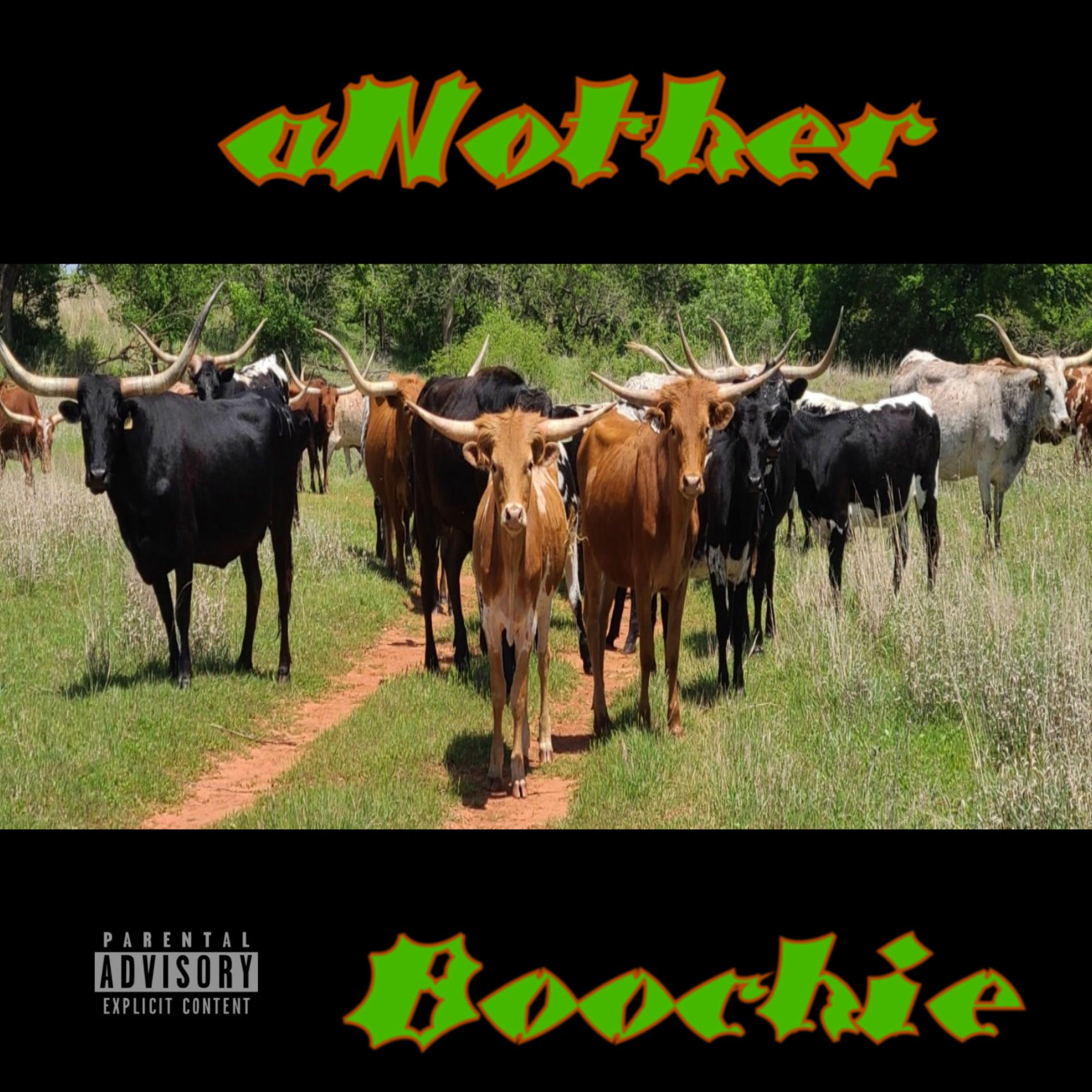 Album cover of aNother