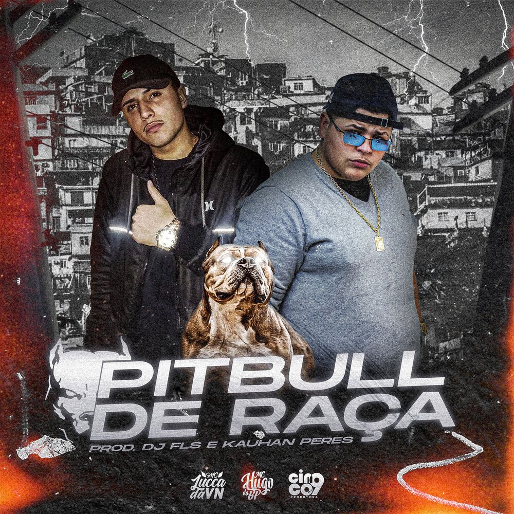 Picture of Pitbull de Raça