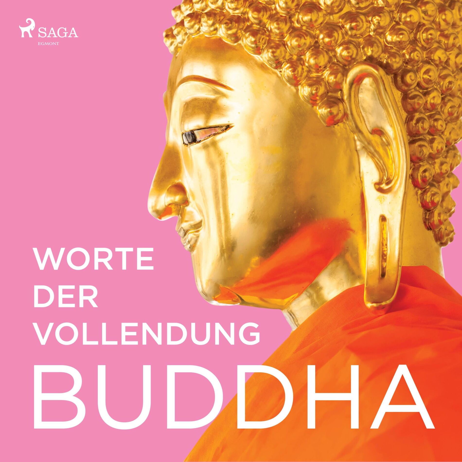 Album cover of Worte der Vollendung (Ungekürzt)