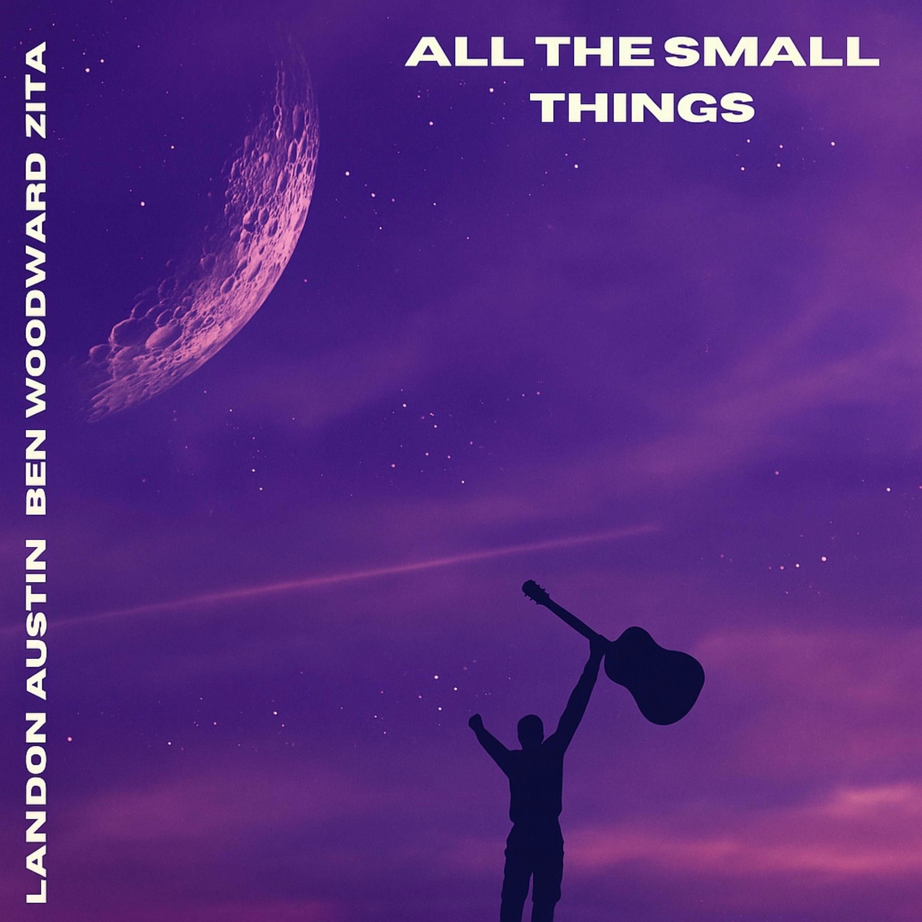 Album cover of All The Small Things (feat. Landon Austin & Ben Woodward)