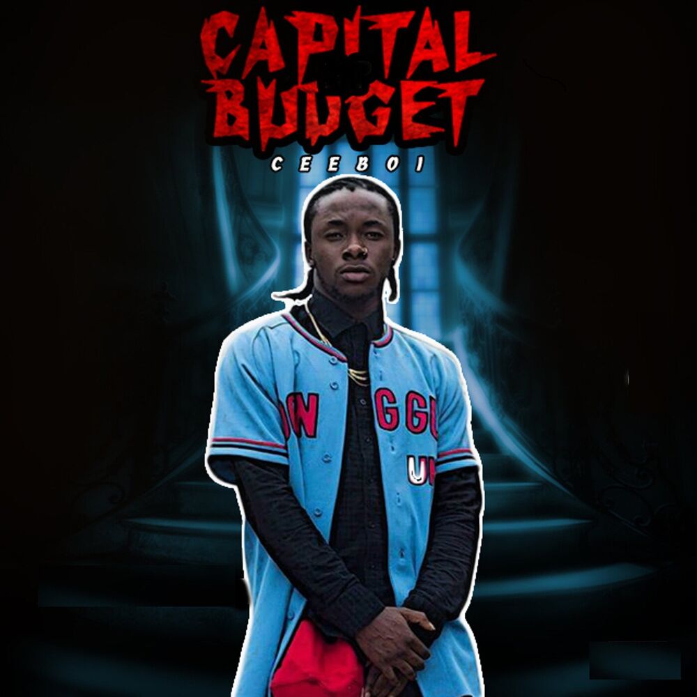 Picture of Capital Budget