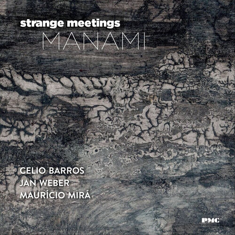 Picture of Strange Meetings Manami