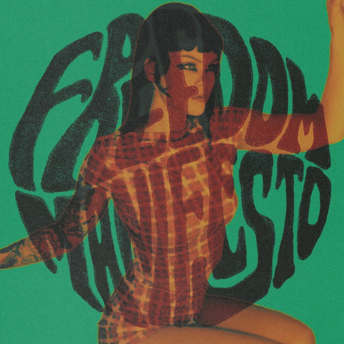 Album cover of Freedom Manifesto