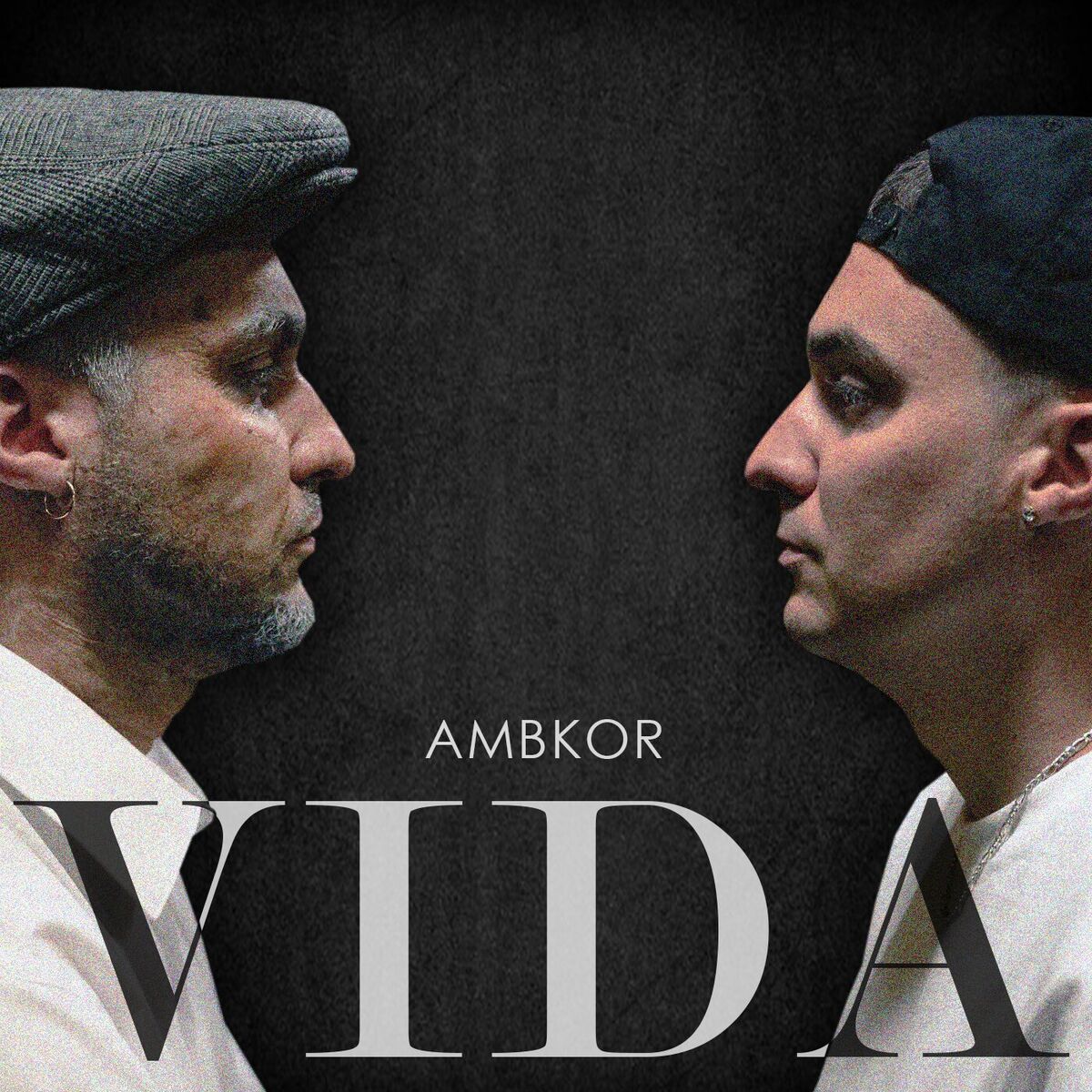 Album cover of Vida