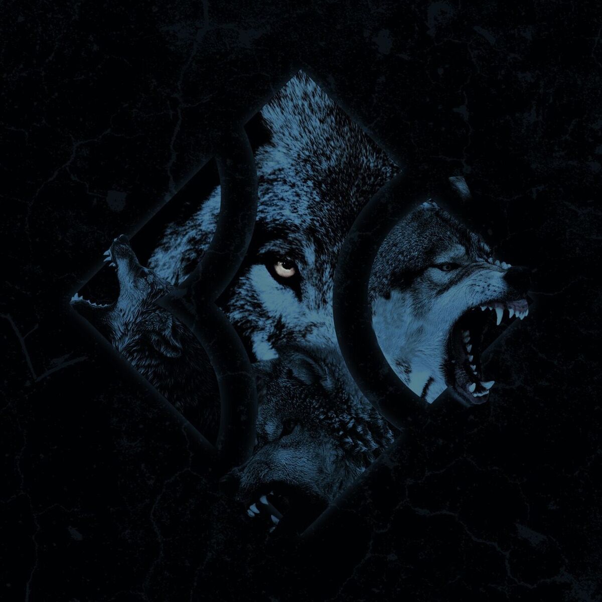 Album cover of Wolfpack