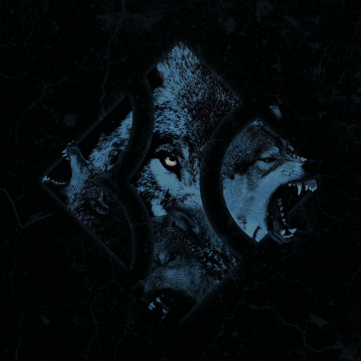 Album cover of Wolfpack