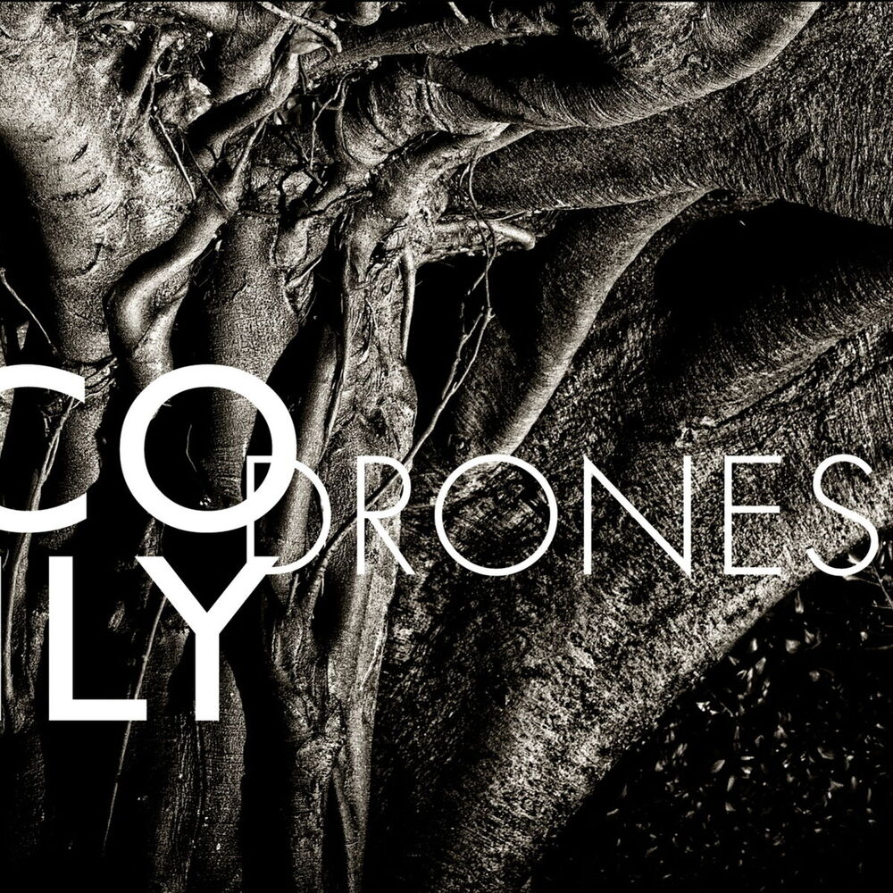 Picture of Drones